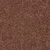 Autumn Ember Velvet Dreams Love Story Carpet by Abingdon