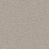 Bankside Beige Primo Naturals Carpet by Cormar