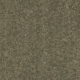 Dusty Fern Velvet Dreams Love Story Carpet by Abingdon