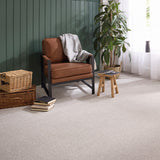 Stainfree Knightsbridge Berber Carpet by Abingdon