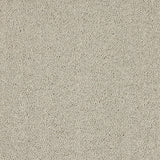 Mist Velvet Dreams Love Story Carpet by Abingdon