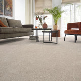 Chiffon Vision Luxury Saxony Actionback Carpet