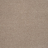 Acacia 34 Cassius 70oz Invictus Carpet