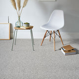 Silver 5923 Alabama Loop Carpet