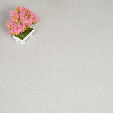 Alloy Grey Primo Plus Carpet by Cormar