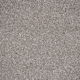 Alpine Stone Sensation Heathers 60oz Carpet by Cormar