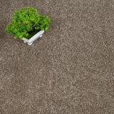 Americano 11 Lasting Romance Love Story Carpet by Abingdon