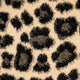 Amur Leopard JAG43 Tribes Wilton Carpet