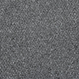 Anthracite 5927 Alabama Loop Carpet