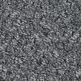 Anthracite 5927 Alabama Loop Carpet