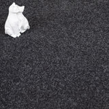 Anthracite Maverick Saxony Carpet