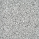 Arctic Grey Sensation Original 60oz Carpet by Cormar