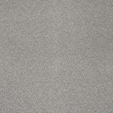 Ashen Drift Stainfree Knightsbridge Berber Carpet by Abingdon