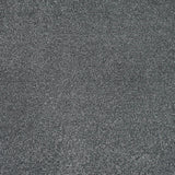 Ashgrove 17 Stainfree Rustique Saxony Carpet by Abingdon