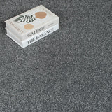 Ashgrove 17 Stainfree Rustique Saxony Carpet by Abingdon