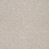 Autumn Mist 04 StainGuard Harvest Heathers Supreme Carpet