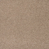 Autumn Trail Trinity Carpet by Cormar