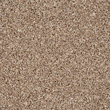 Autumn Trail Trinity Carpet by Cormar