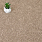 Autumn Trail Trinity Carpet by Cormar