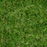 Avebury 37mm Artificial Grass