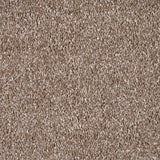 Barbados 35 Yukon Gaia Carpet