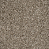 Bark Brown Dunham Saxony Carpet