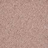 Bedtime 38 Ultimate Andromeda Invictus Carpet Clearance