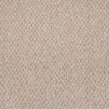 Beige 5913 Alabama Loop Carpet