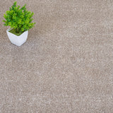 Beige Brown 92 Alps Twist Carpet