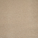 Biscuit 34 Orion 50oz Invictus Carpet