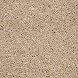 Biscuit 34 Orion 50oz Invictus Carpet