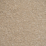 Biscuit 34 Sirius 70oz Invictus Carpet