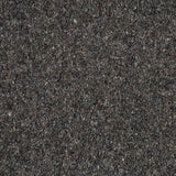 Blackwater Riverside Twist 60oz Carpet