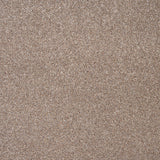 Blonde Oak 31 Stainaway Harvest Heathers Deluxe Carpet