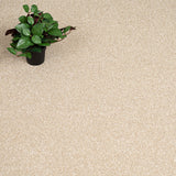 Brioche Primo Naturals Carpet by Cormar