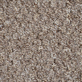 Brown Beige 5915 Alabama Loop Carpet