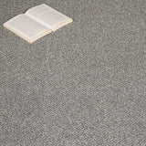 Calder 93 Stainaway Tweed Carpet