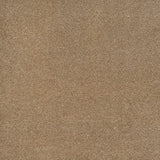 Camel 36 iSense Obsession Carpet