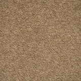 Camel 36 iSense Obsession Carpet