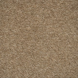 Camel 36 iSense Obsession Carpet