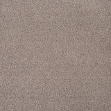 Canyon Glow Sensation Heathers 60oz Carpet by Cormar
