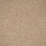 Caramel Apollo Plus Carpet by Cormar