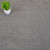 Carbon Florence Saxony Carpet Clearance
