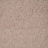 Carnation 38 Orion 50oz Invictus Carpet