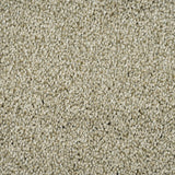 Fern 20 Cassius 70oz Invictus Carpet