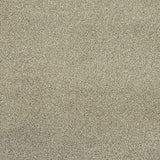 Fern 20 Cassius 70oz Invictus Carpet