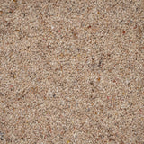 Chamois Natural Berber Twist Deluxe 55oz Carpet by Cormar