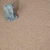 Chamois Natural Berber Twist Deluxe 55oz Carpet by Cormar