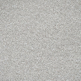 Champagne Stainfree Caress Carpet by Abingdon