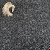 Charcoal 01 Stainfree Tweed Carpet by Abingdon